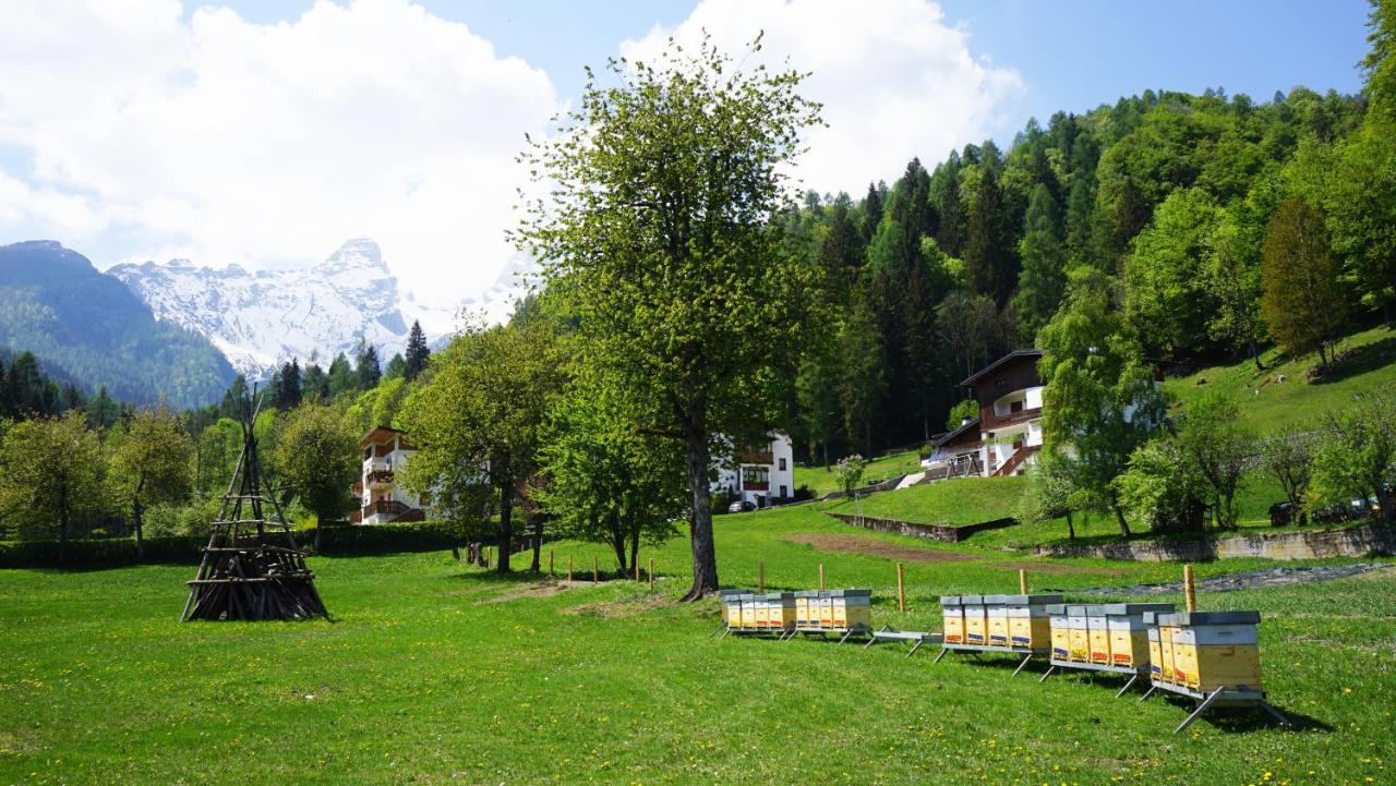 La Sloda Forno di Zoldo Bagian luar foto